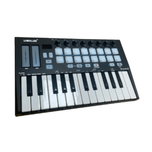 Orca Mini 25