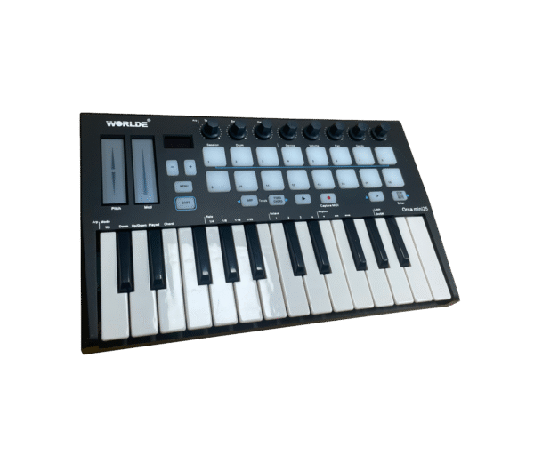 Orca Mini 25