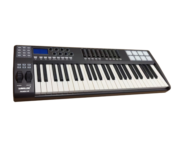 Panda 49C - Image 2