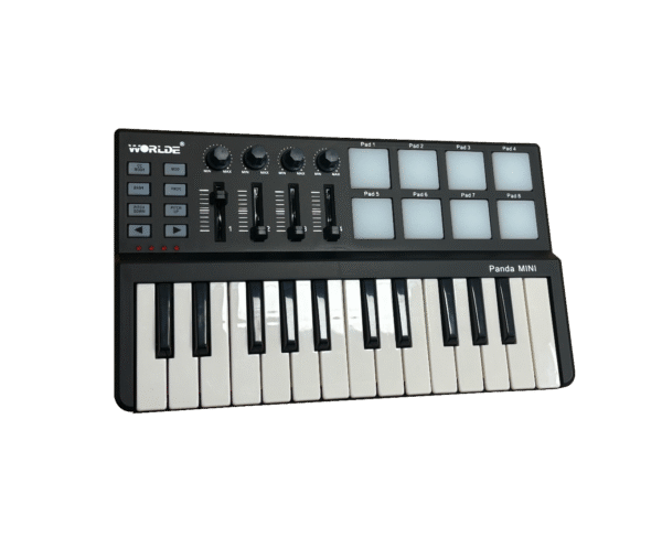 Panda minic - Image 2